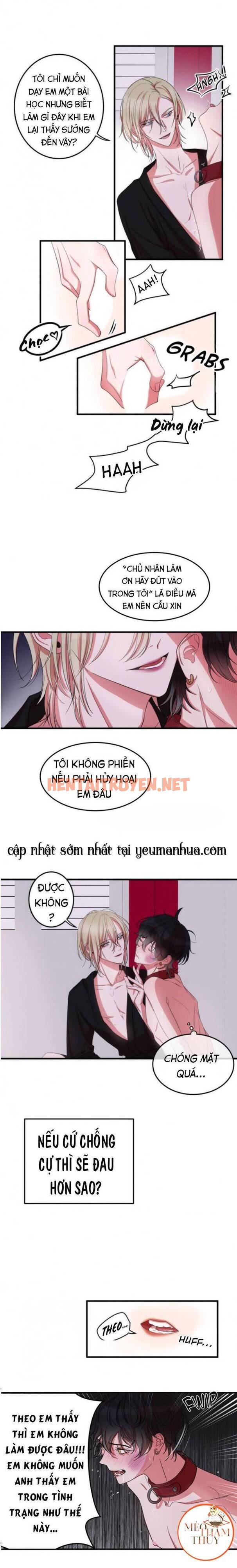 Xem ảnh Khẩu Vị Và Sự Tôn Thờ Của Người Yêu Tôi - Chap 4 - img_004_1694529468 - HentaiTruyen.net