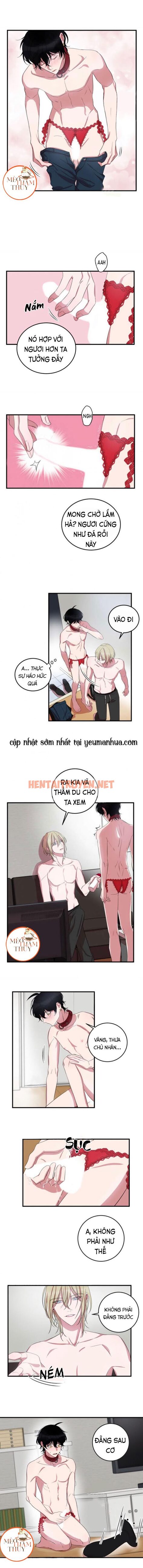 Xem ảnh Khẩu Vị Và Sự Tôn Thờ Của Người Yêu Tôi - Chap 7 - img_002_1640527299 - HentaiTruyen.net