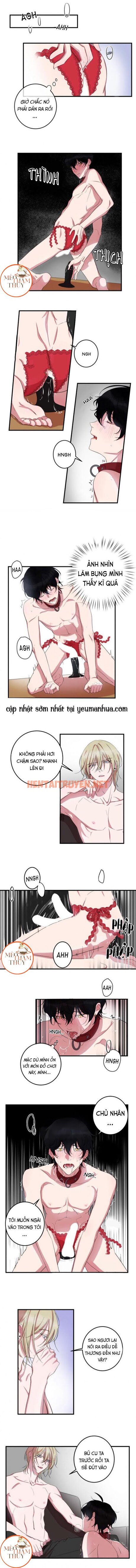 Xem ảnh Khẩu Vị Và Sự Tôn Thờ Của Người Yêu Tôi - Chap 7 - img_003_1640527300 - HentaiTruyen.net