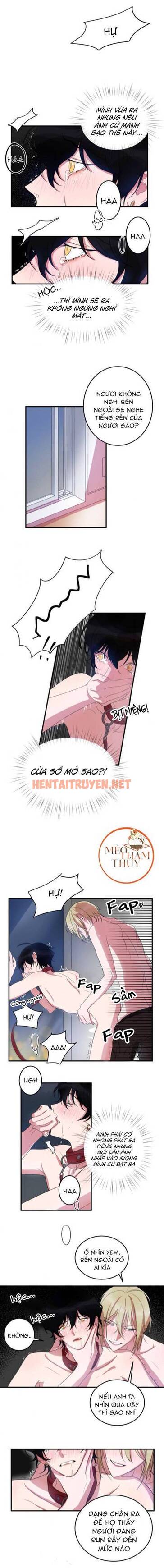 Xem ảnh Khẩu Vị Và Sự Tôn Thờ Của Người Yêu Tôi - Chap 8 - img_003_1694613456 - HentaiTruyen.net