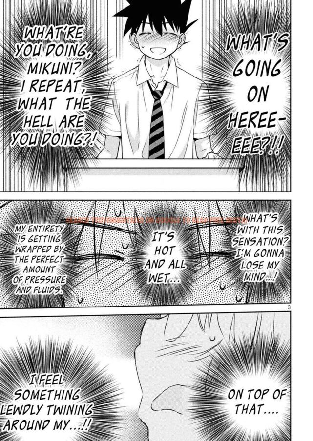Read Hentai Image 4 286 in comic Kiss X Sis - Chapter 124 - hentaitnt.net