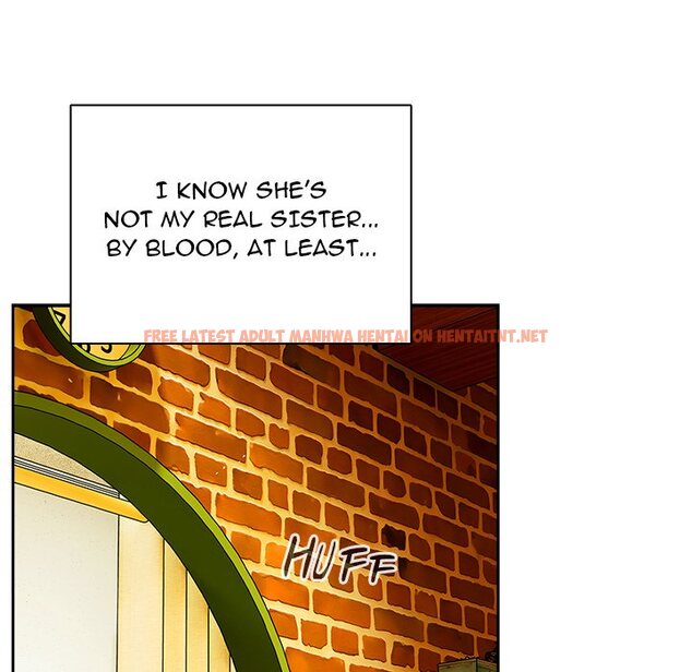 Read Hentai Image 244 050c1 in comic Like No Other - Chapter 1 - hentaitnt.net