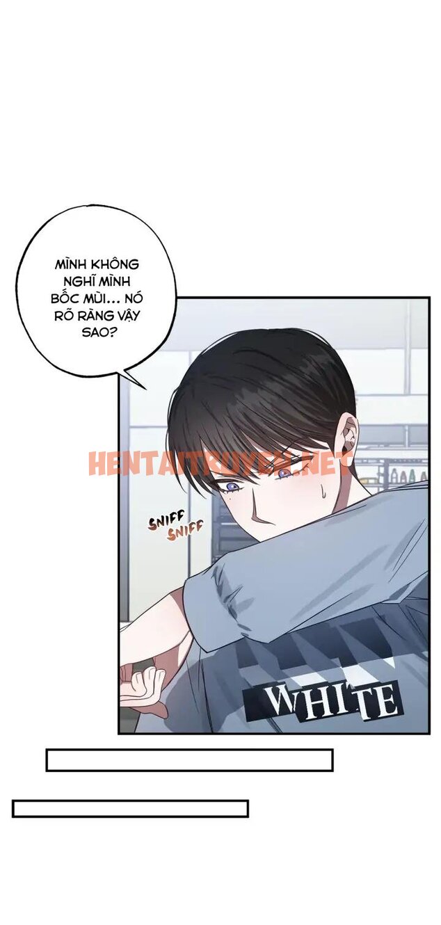 Xem ảnh Manhwa Chịch Vồn Chịch Vã - Chap 39 - img_052_1681320828 - TruyenVN.APP