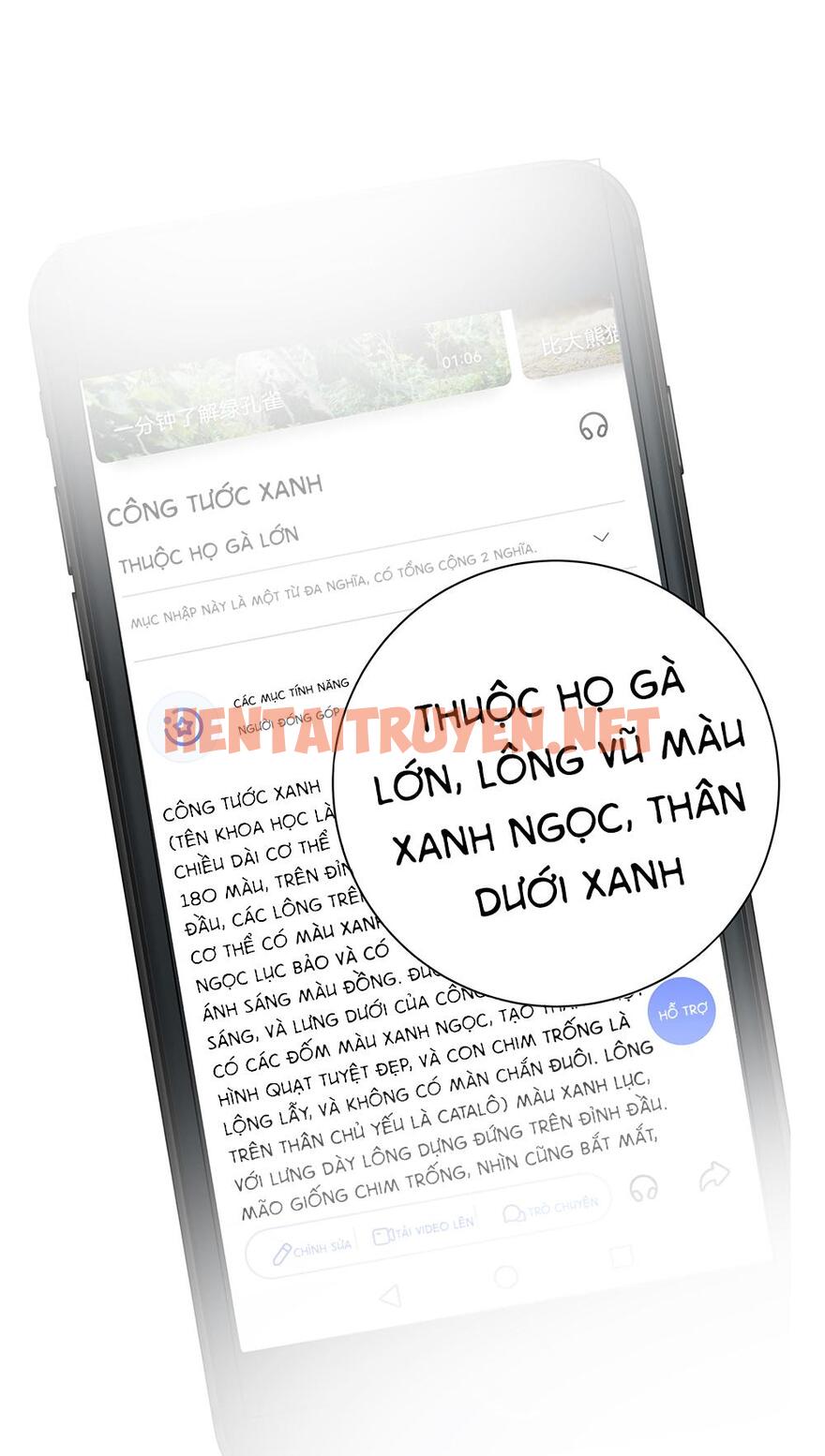 Xem ảnh Mối Liên Hôn Khác Loài - Chap 3 - img_042_1667561048 - TruyenVN.APP