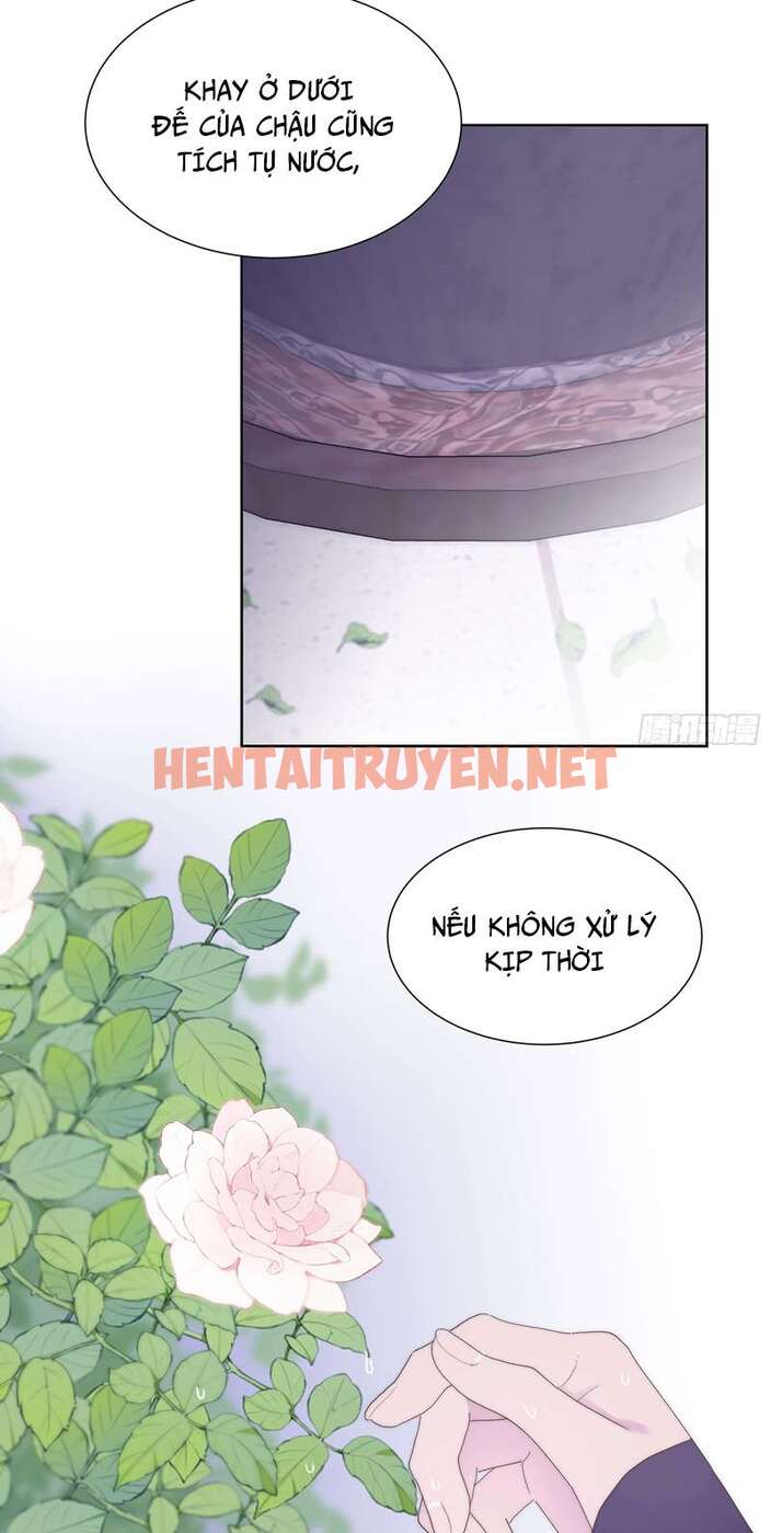 Xem ảnh Mời Nhập Mật Mã Kích Hoạt - Chap 4 - img_017_1680575465 - TruyenVN.APP