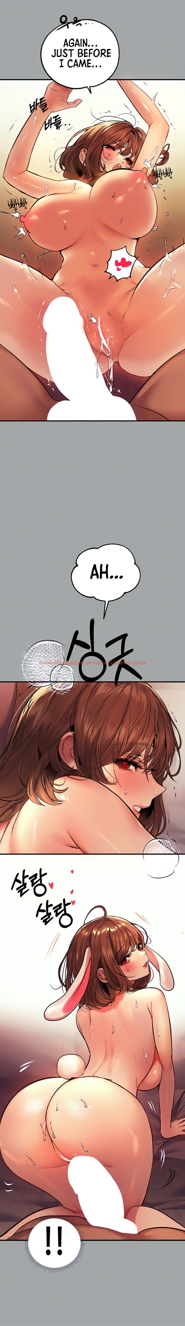 Read Hentai Image 12 462 in comic My Landlady Noona - Chapter 57 - www.hentaitnt.net