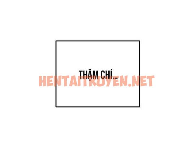 Xem ảnh Netkama Punch!!! - Chap 57 - img_013_1696095554 - TruyenVN.APP