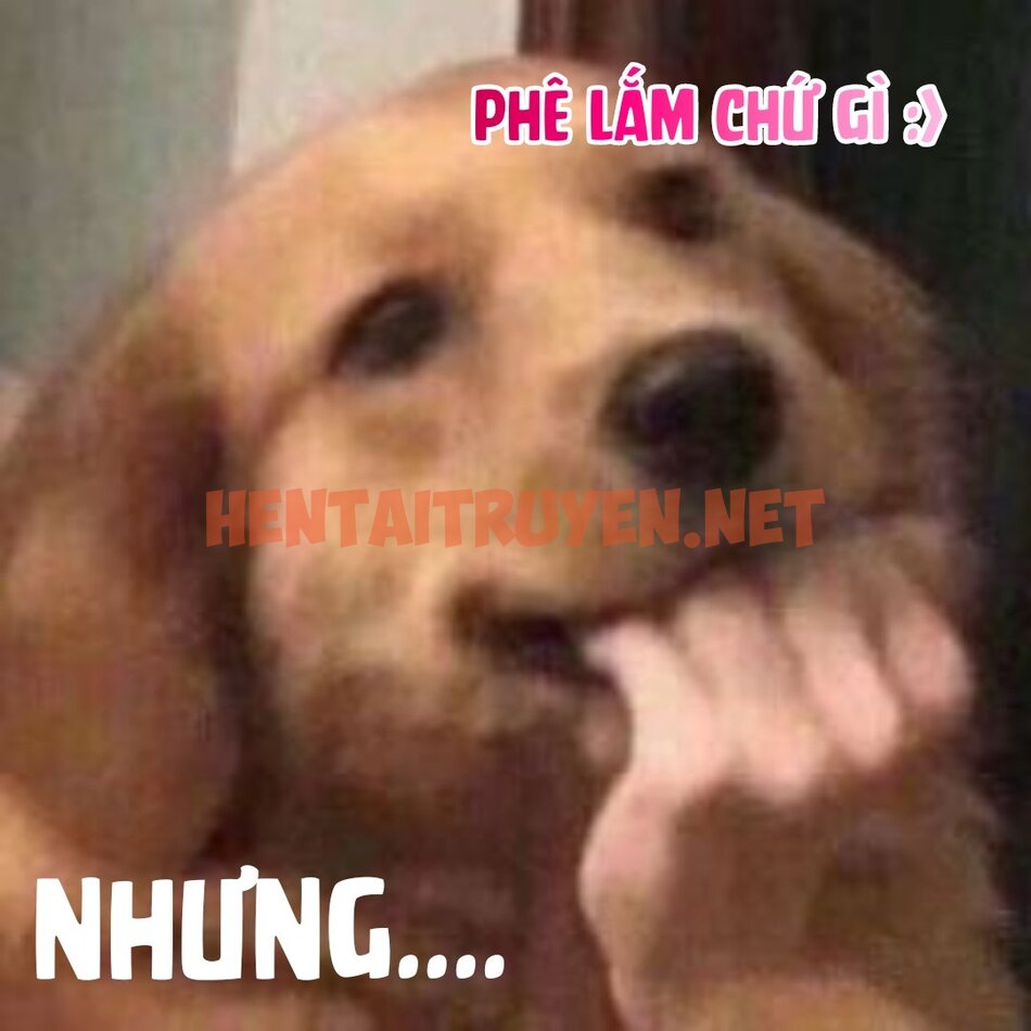 Xem ảnh Người Tôi Khát Khao Chính Là Một Ông Chú Trai Bao 42 Tuổi ! - Chap 2 - img_035_1632827438 - HentaiTruyen.net