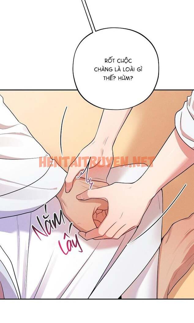 Xem ảnh Nhỏ Chút Cũng Không Sao Đâu! - Chap 2 - img_023_1701846591 - HentaiTruyen.net