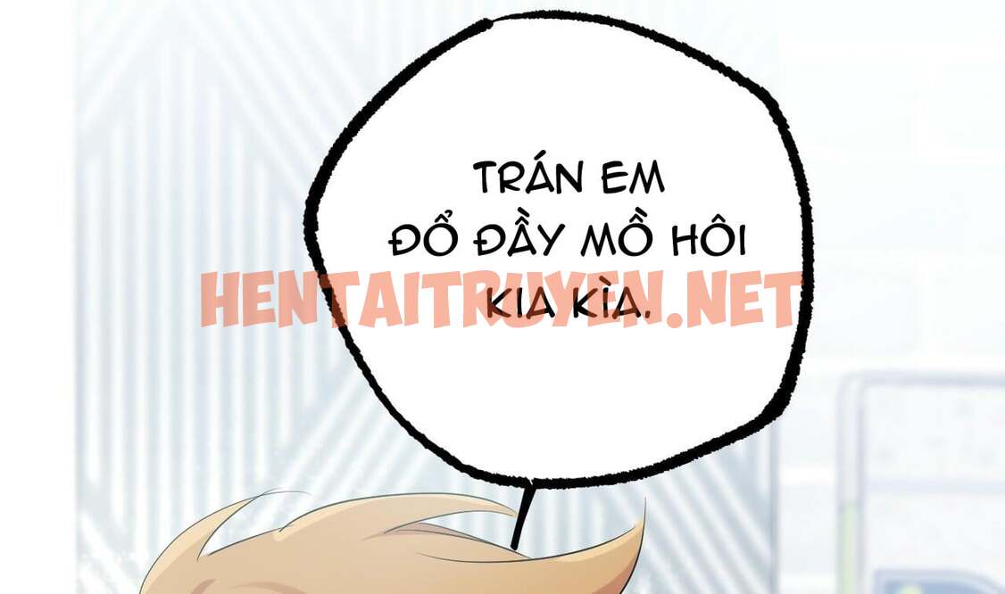 Xem ảnh Những Chú Thỏ Của Hapypy - Chap 13 - img_095_1641072972 - TruyenVN.APP