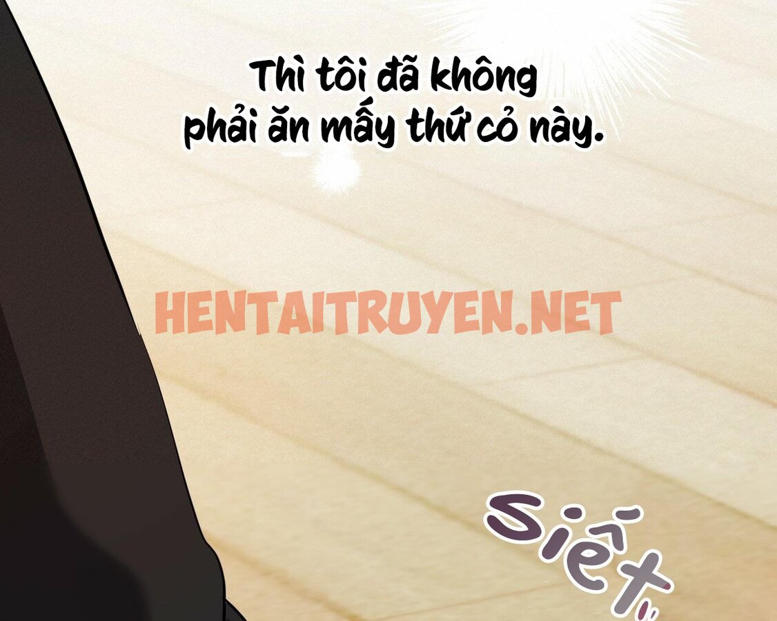 Xem ảnh Những Chú Thỏ Của Hapypy - Chap 13 - img_136_1641073029 - TruyenVN.APP