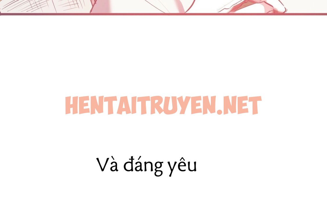 Xem ảnh Những Chú Thỏ Của Hapypy - Chap 18 - img_025_1644282489 - TruyenVN.APP