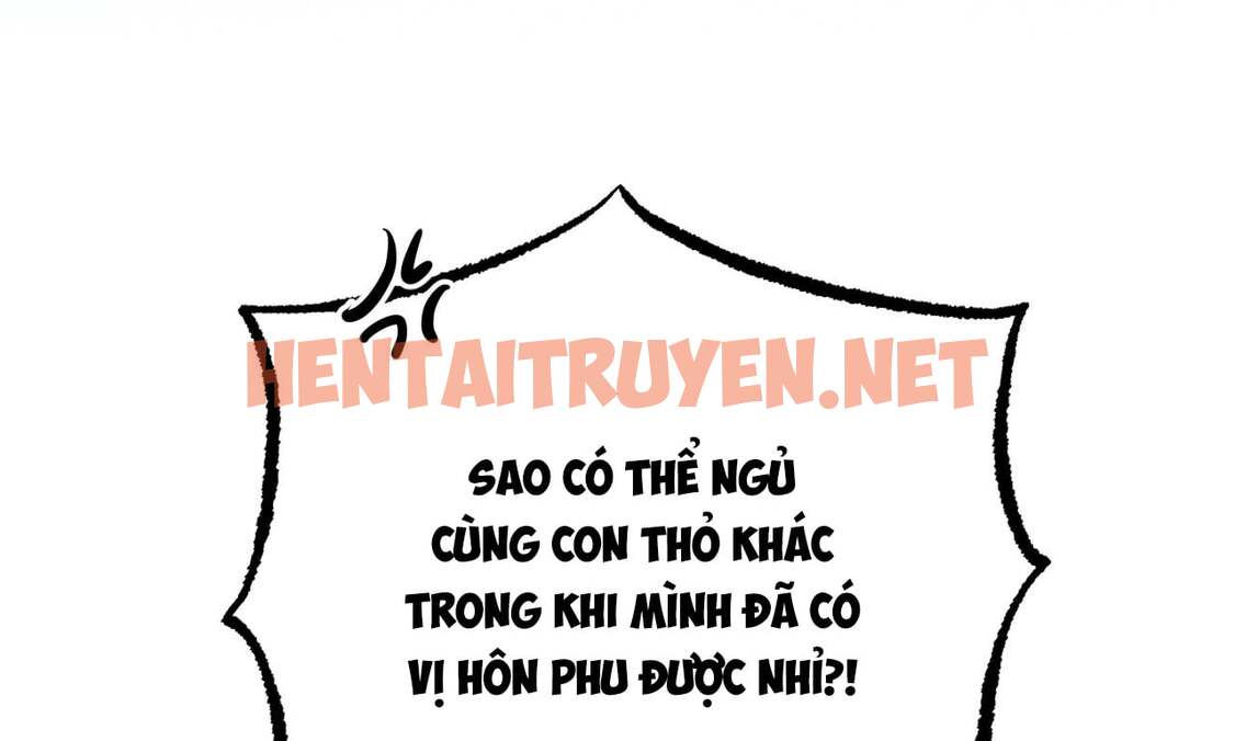 Xem ảnh Những Chú Thỏ Của Hapypy - Chap 18 - img_086_1644282635 - TruyenVN.APP