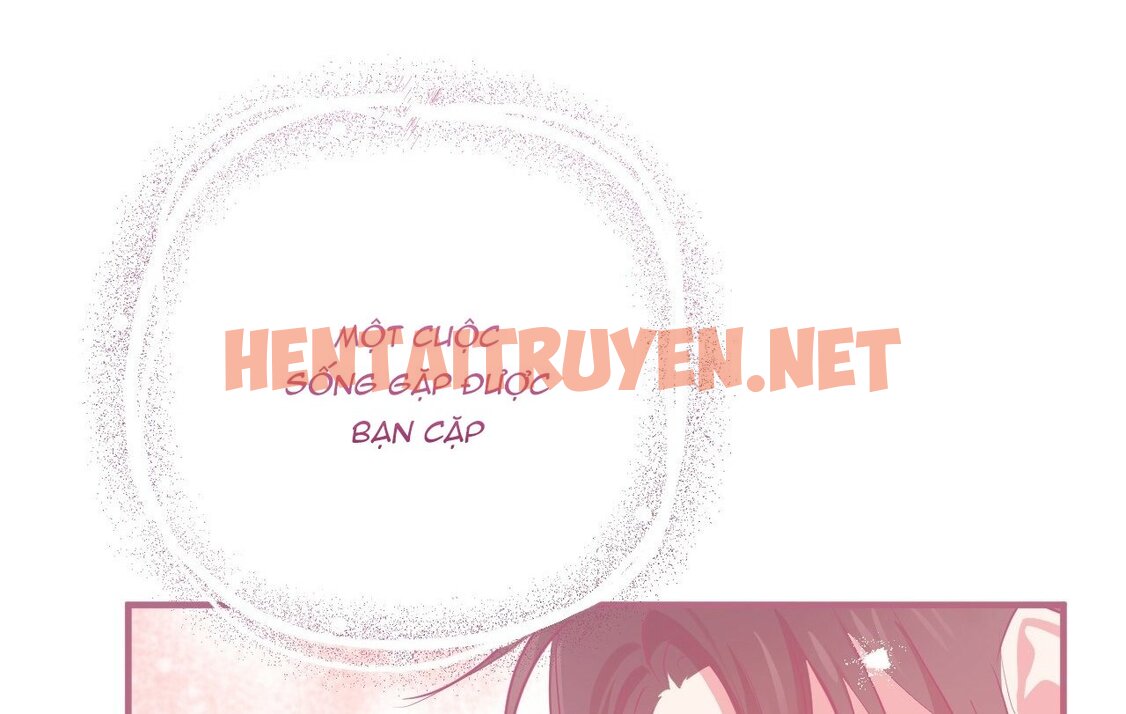 Xem ảnh Những Chú Thỏ Của Hapypy - Chap 18 - img_112_1644282685 - TruyenVN.APP