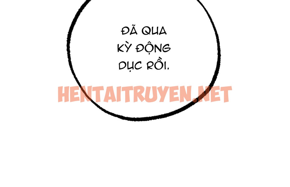 Xem ảnh Những Chú Thỏ Của Hapypy - Chap 18 - img_293_1644283093 - TruyenVN.APP