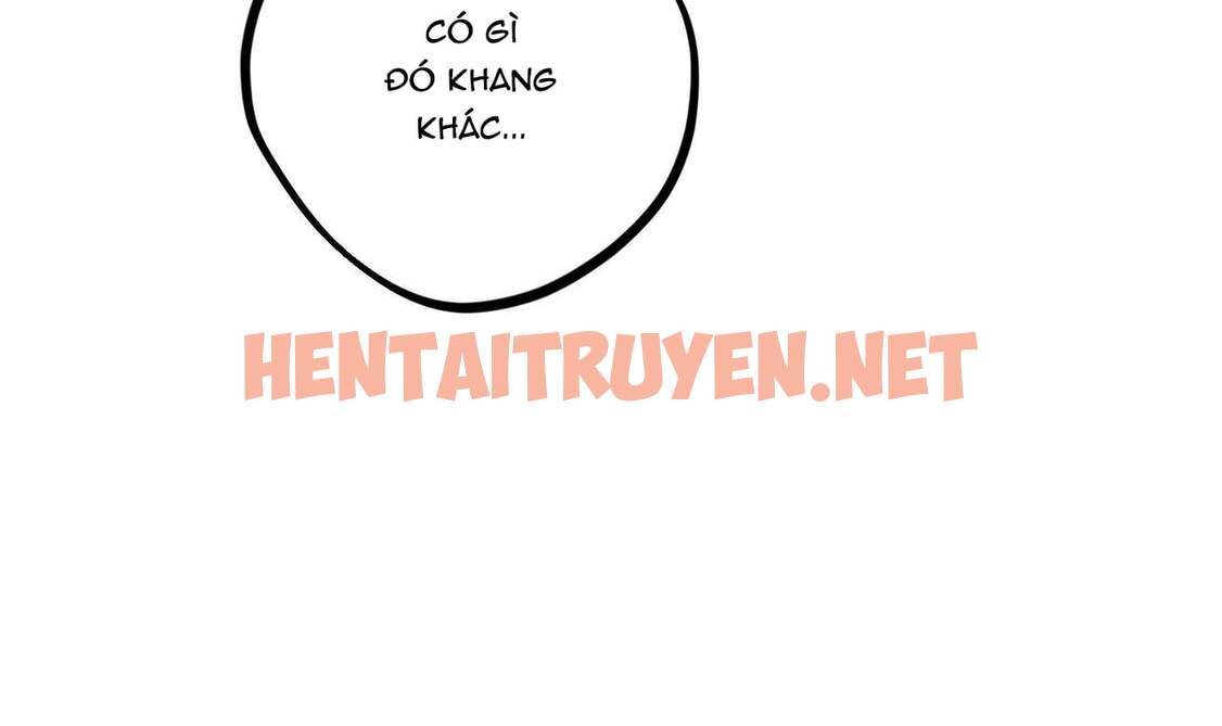 Xem ảnh Những Chú Thỏ Của Hapypy - Chap 25 - img_142_1648329275 - TruyenVN.APP