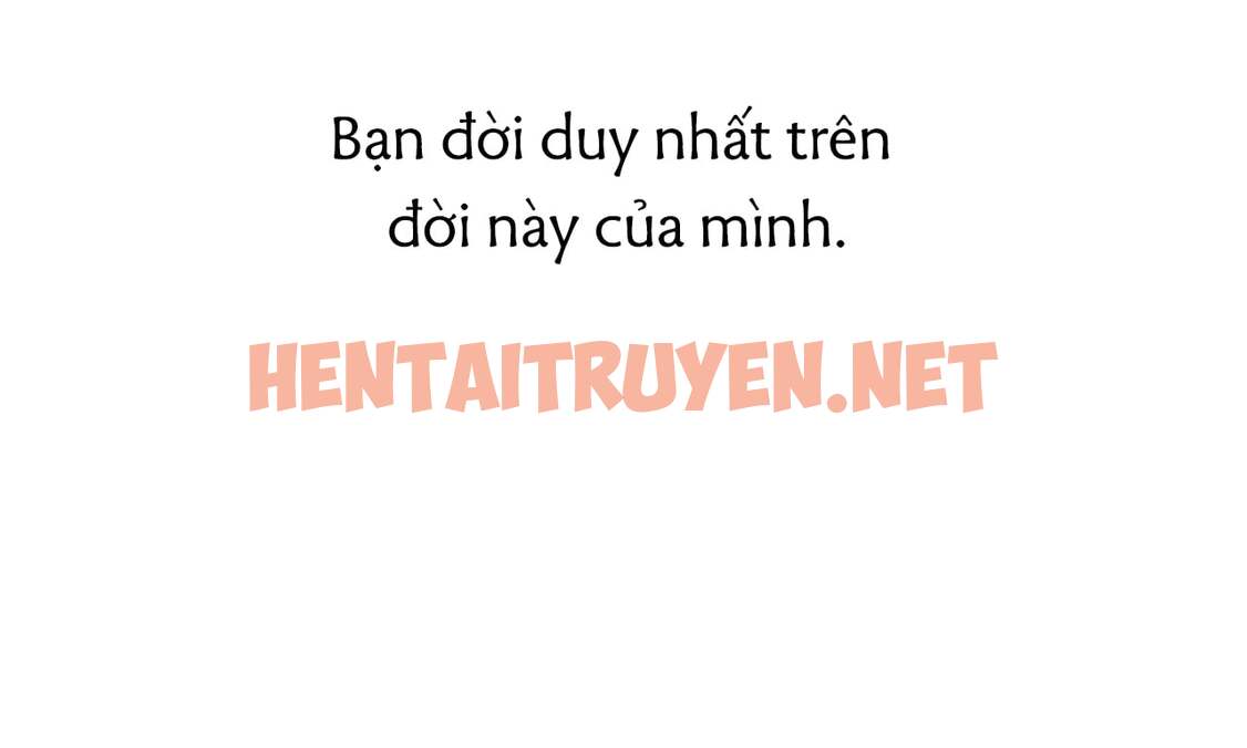 Xem ảnh Những Chú Thỏ Của Hapypy - Chap 43 - img_253_1659234040 - TruyenVN.APP