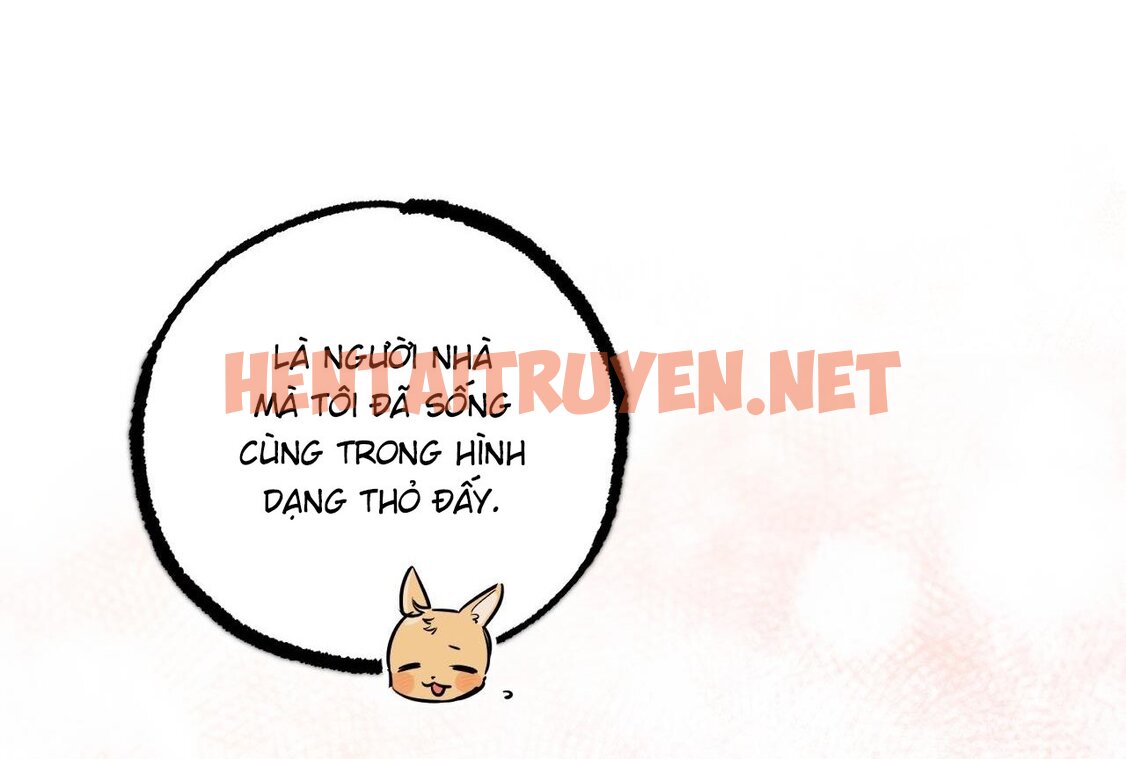 Xem ảnh Những Chú Thỏ Của Hapypy - Chap 58 - img_040_1668875375 - TruyenVN.APP