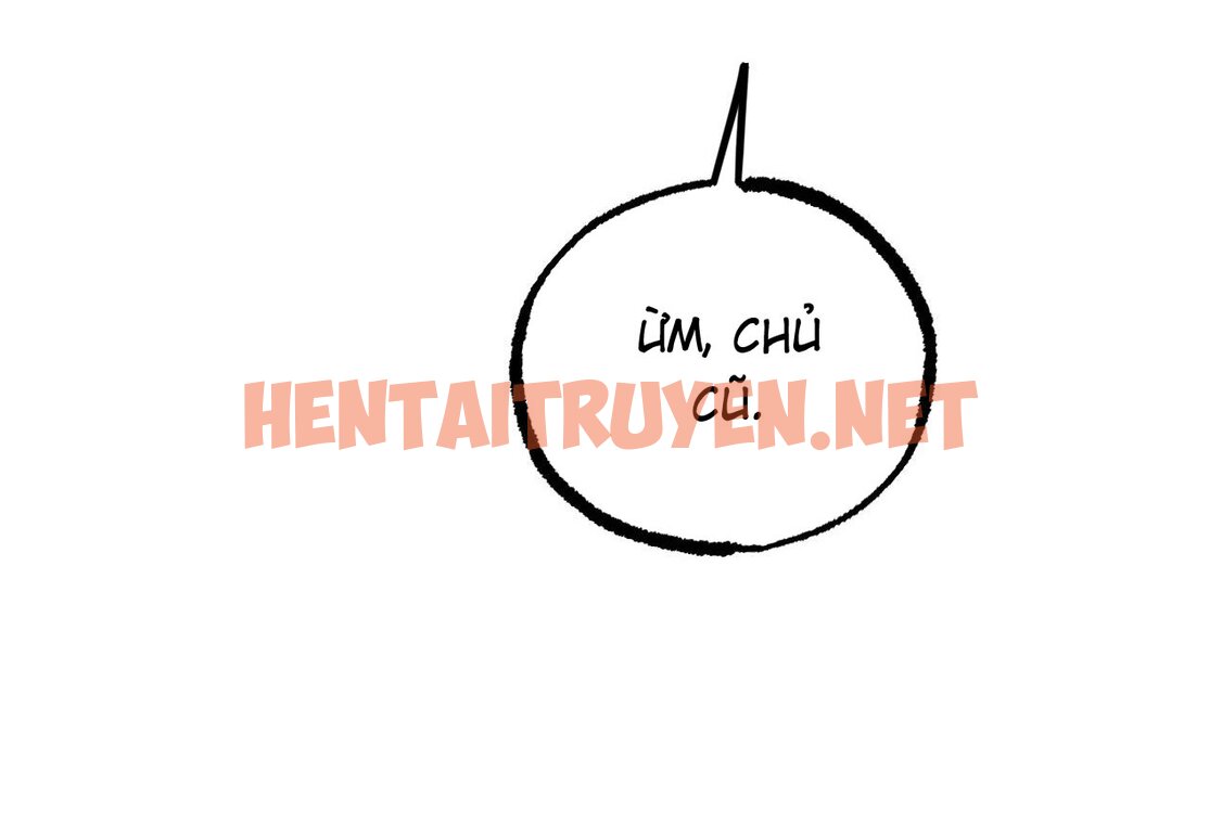 Xem ảnh Những Chú Thỏ Của Hapypy - Chap 58 - img_043_1668875384 - TruyenVN.APP