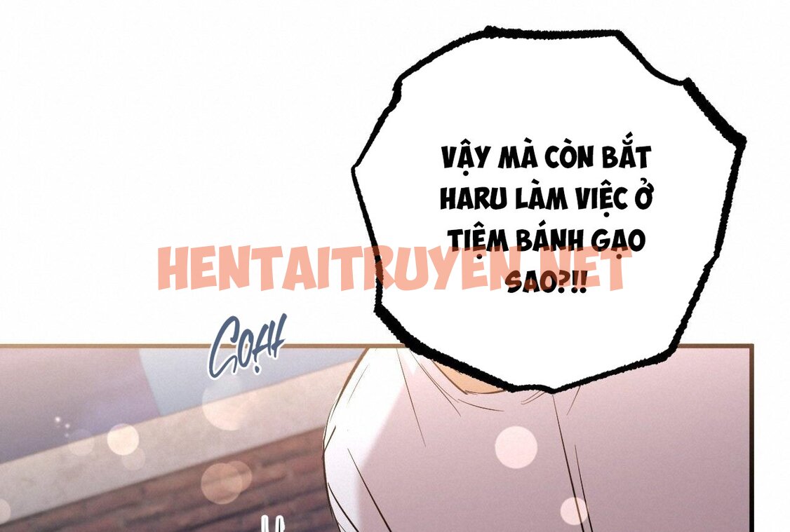 Xem ảnh Những Chú Thỏ Của Hapypy - Chap 58 - img_120_1668875528 - HentaiTruyenVN.net