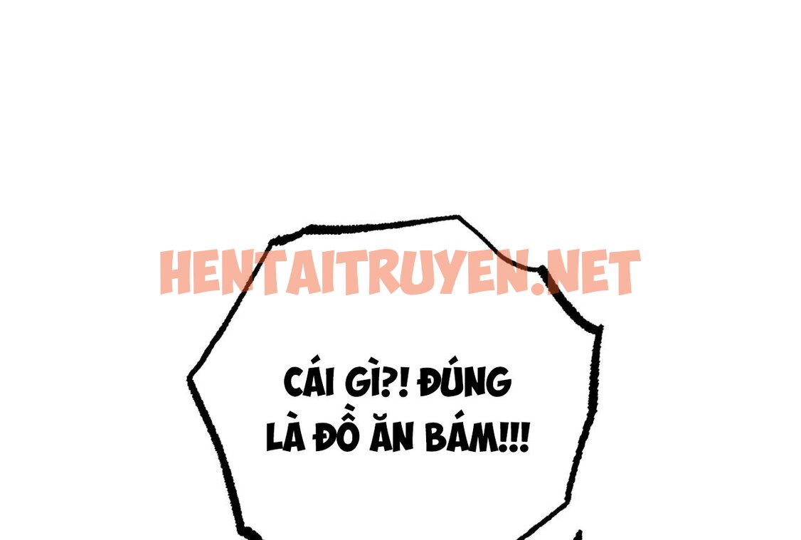 Xem ảnh Những Chú Thỏ Của Hapypy - Chap 58 - img_143_1668875566 - TruyenVN.APP