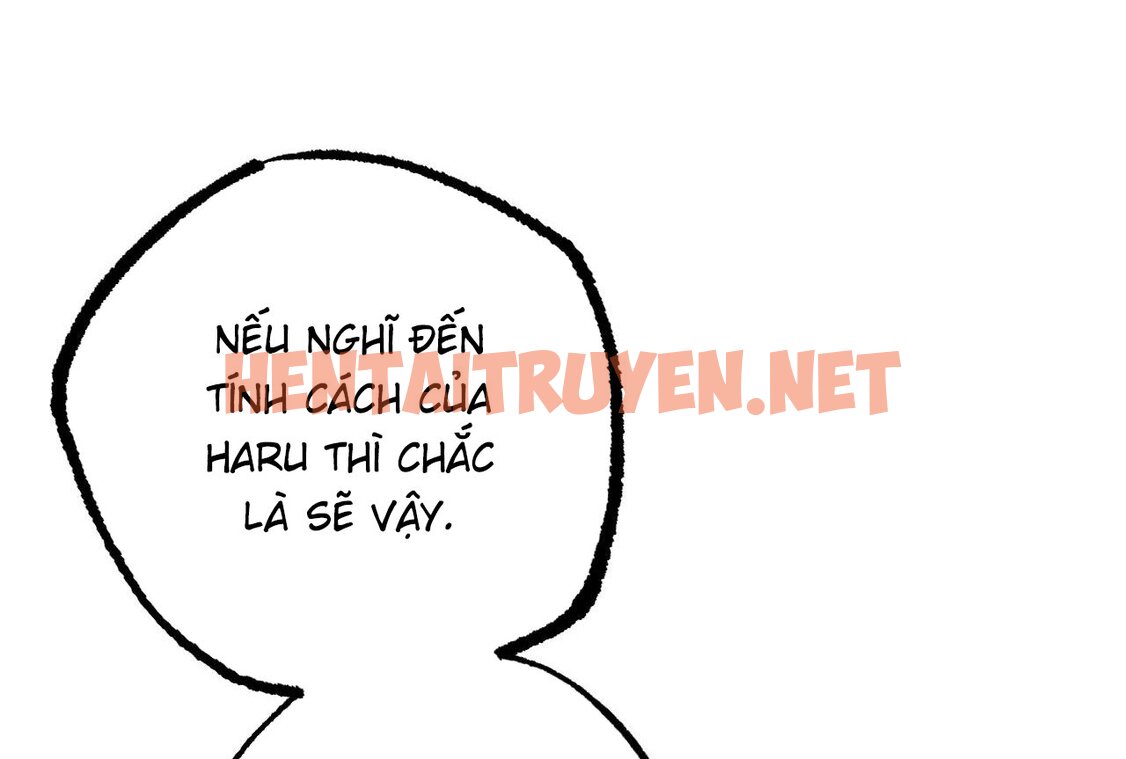 Xem ảnh Những Chú Thỏ Của Hapypy - Chap 58 - img_255_1668875762 - TruyenVN.APP