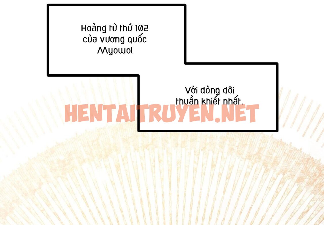 Xem ảnh Những Chú Thỏ Của Hapypy - Chap 59 - img_017_1669624507 - TruyenVN.APP