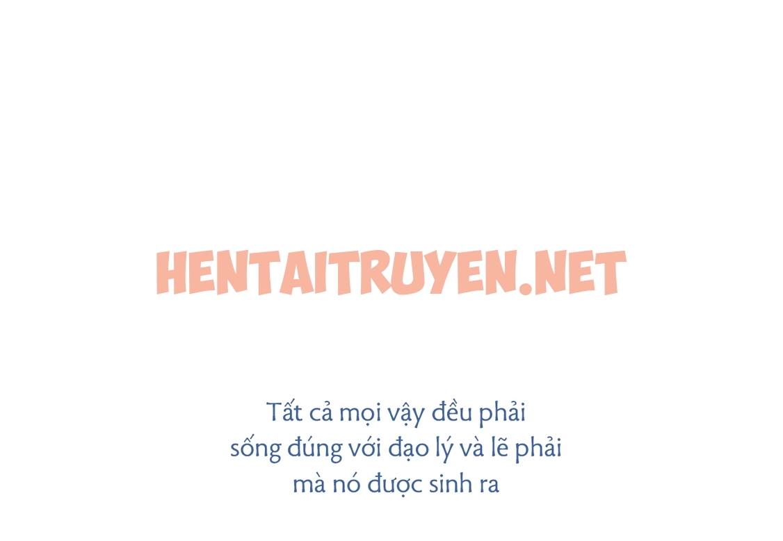 Xem ảnh Những Chú Thỏ Của Hapypy - Chap 60 - img_025_1670078250 - TruyenVN.APP