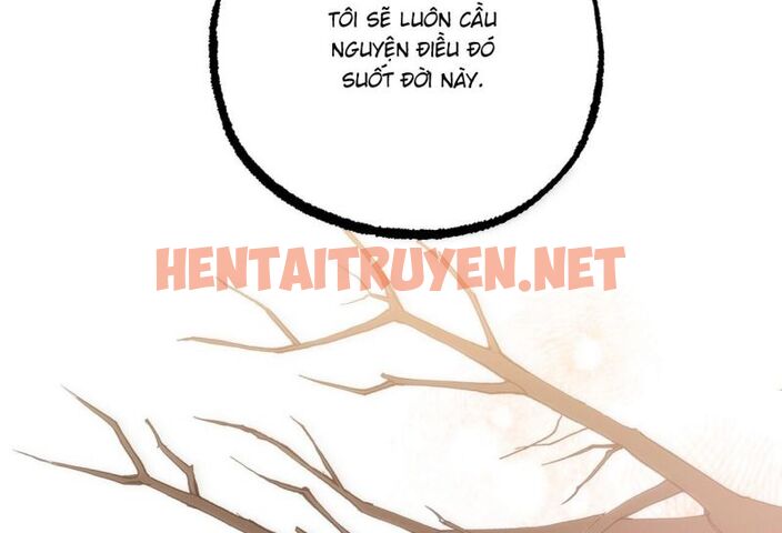 Xem ảnh Những Chú Thỏ Của Hapypy - Chap 64.5 - img_129_1672654780 - TruyenVN.APP