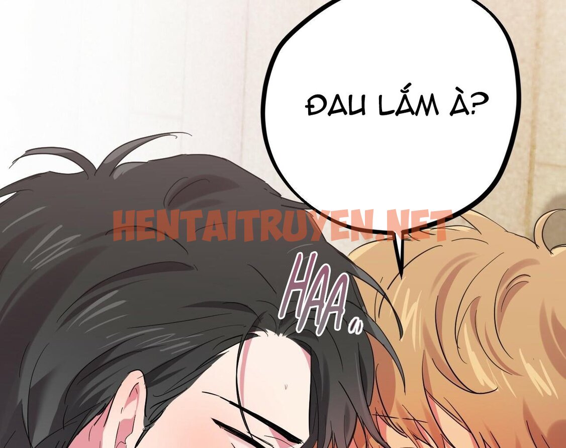 Xem ảnh Những Chú Thỏ Của Hapypy - Chap 9 - img_122_1638797755 - TruyenVN.APP