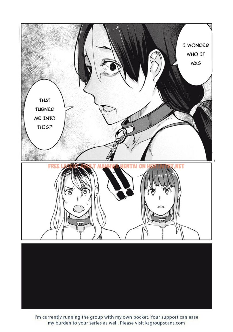 Read Hentai Image 18 23c83 in comic Ntrevenge - Chapter 9 - hentaitnt.net