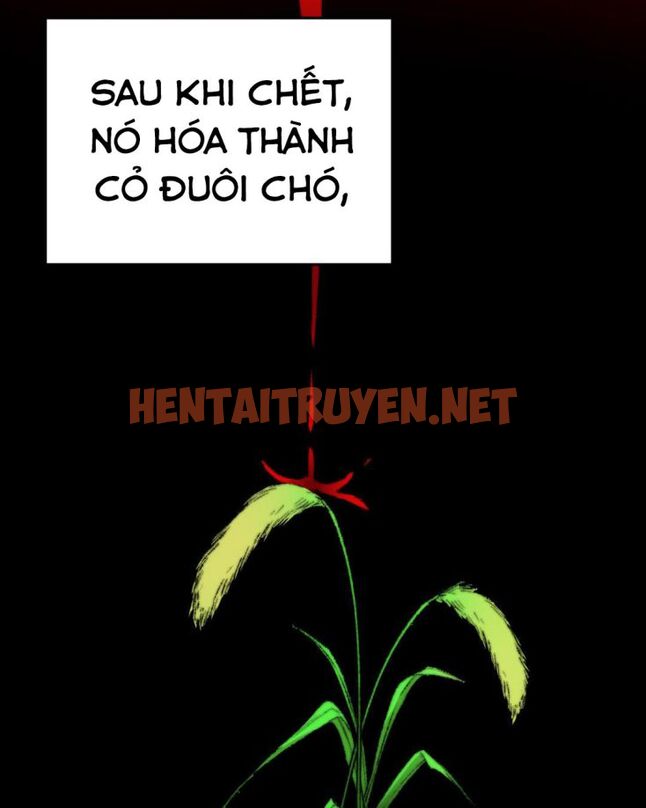 Xem ảnh Ô Y Hạng Chi Tù Ái - Chap 7 - img_129_1644985826 - TruyenVN.APP