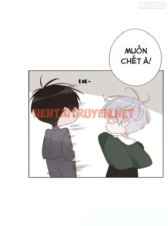 Xem ảnh Ôm Chặt Vào Lòng - Chap 84 - img_034_1682251376 - TruyenVN.APP