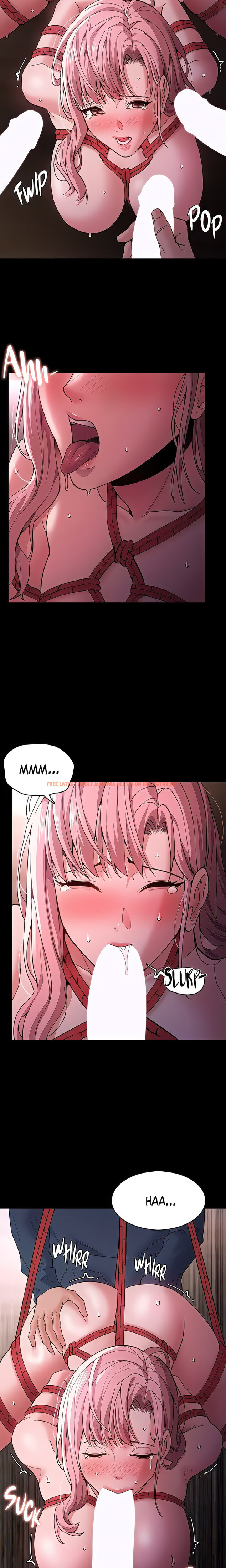 Read Hentai Image 12 30359 in comic Pervert Diary - Chapter 41 - hentaitnt.net