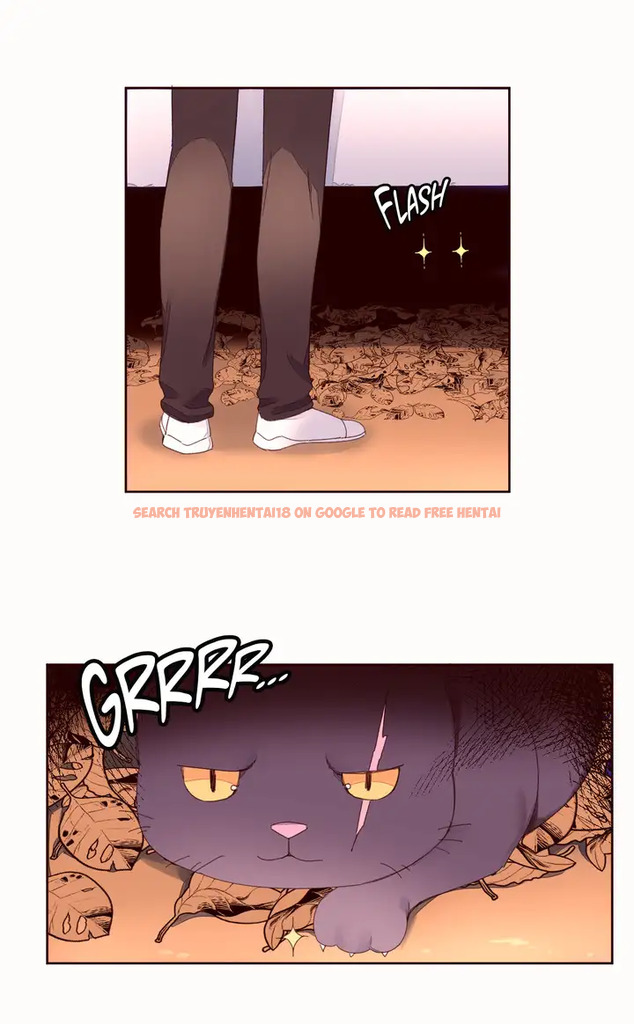 Read Hentai Image 5 374 in comic Pheromone Holic - Chapter 41 - hentaitnt.net