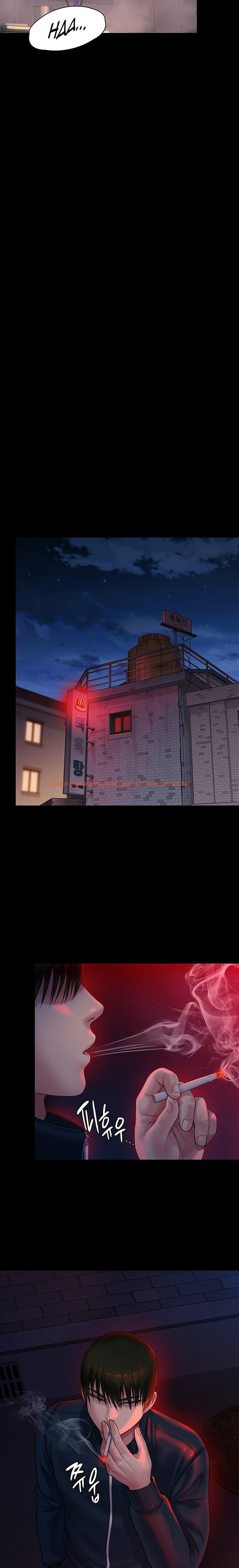 Read Hentai Image 18 483 in comic Queen Bee - Chapter 224 - hentaitnt.net