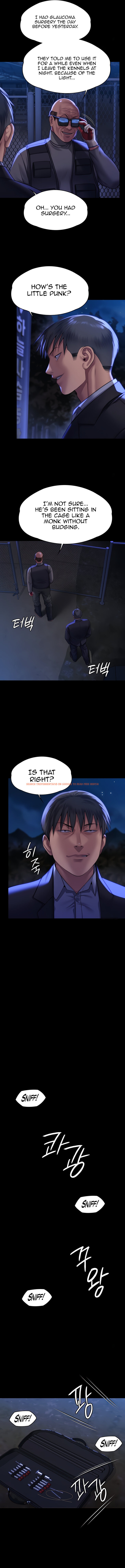 Read Hentai Image 12 a33dd in comic Queen Bee - Chapter 311 - www.hentaitnt.net