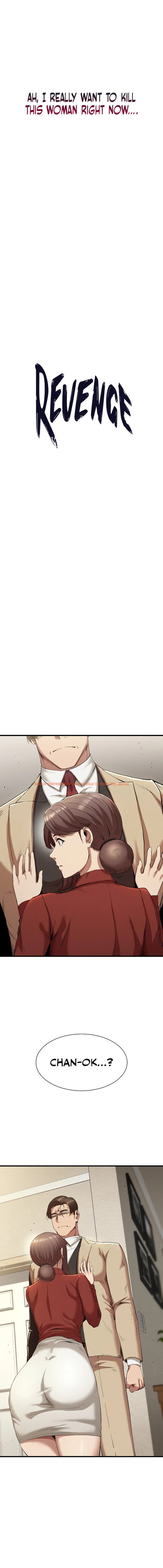 Read Hentai Image 2 504 in comic Revenge - Chapter 23 - www.hentaitnt.net