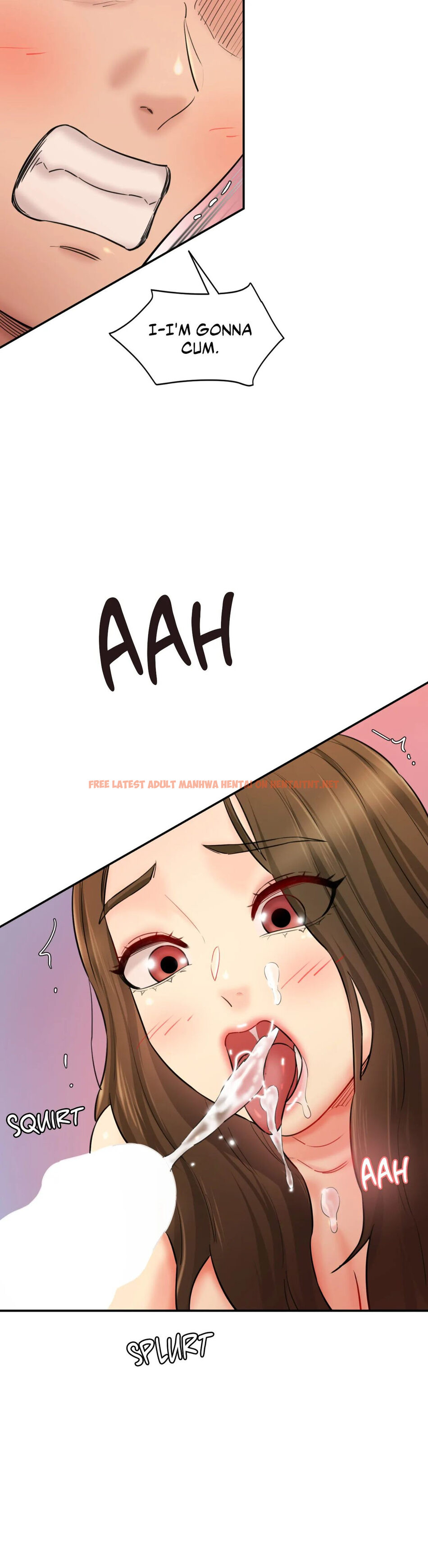 Read Hentai Image 42 18310 in comic Secret Office - Chapter 33 - hentaitnt.net