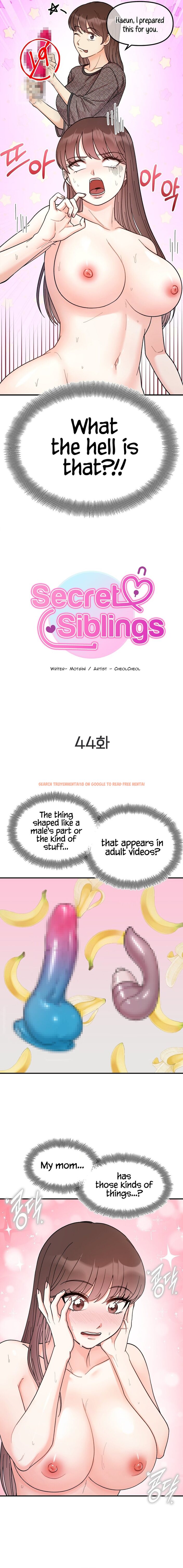 Read Hentai Image 2 77eab in comic Secret Siblings - Chapter 44 - hentaitnt.net