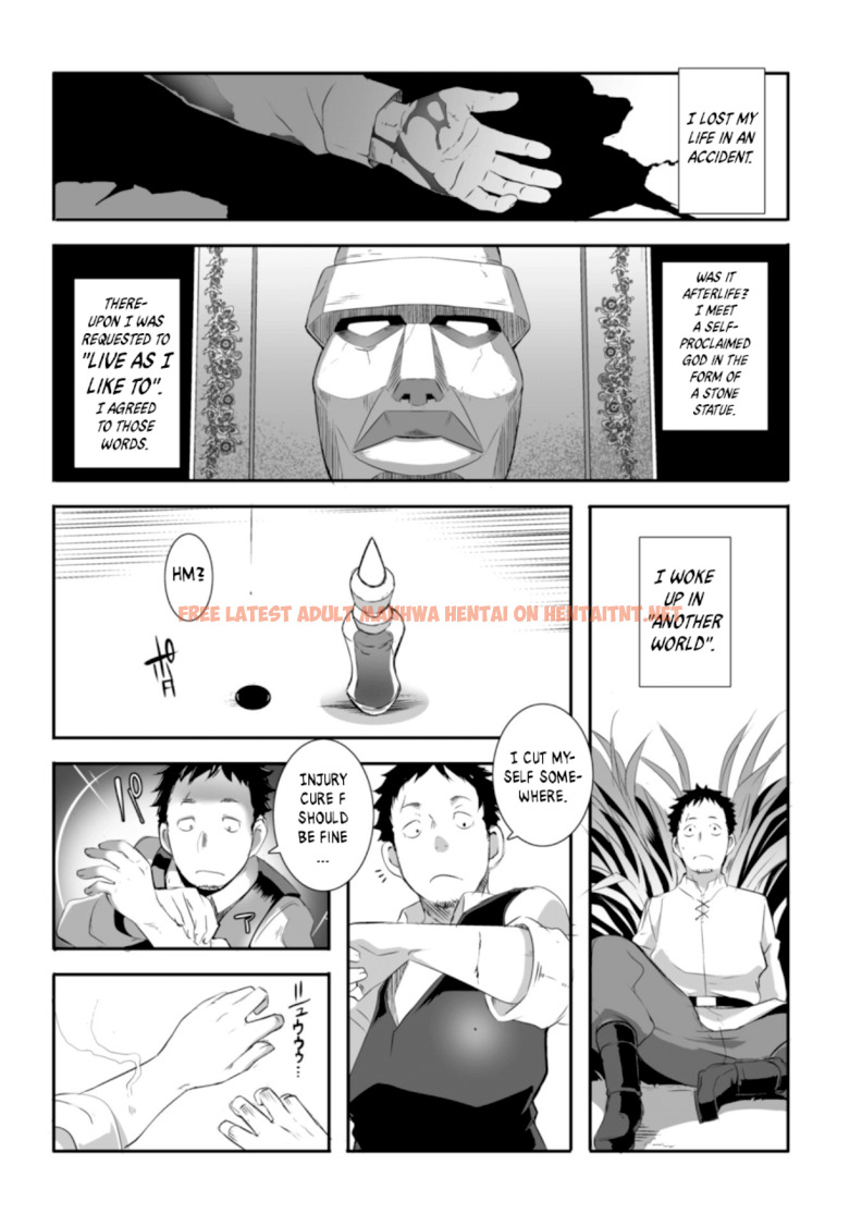 Read Hentai Image 19 667 in comic Sekkaku Cheat Wo Moratte Isekai Ni Teni Shita N dakara, Suki Na You Ni Ikitemitai - Chapter 1 - hentaitnt.net