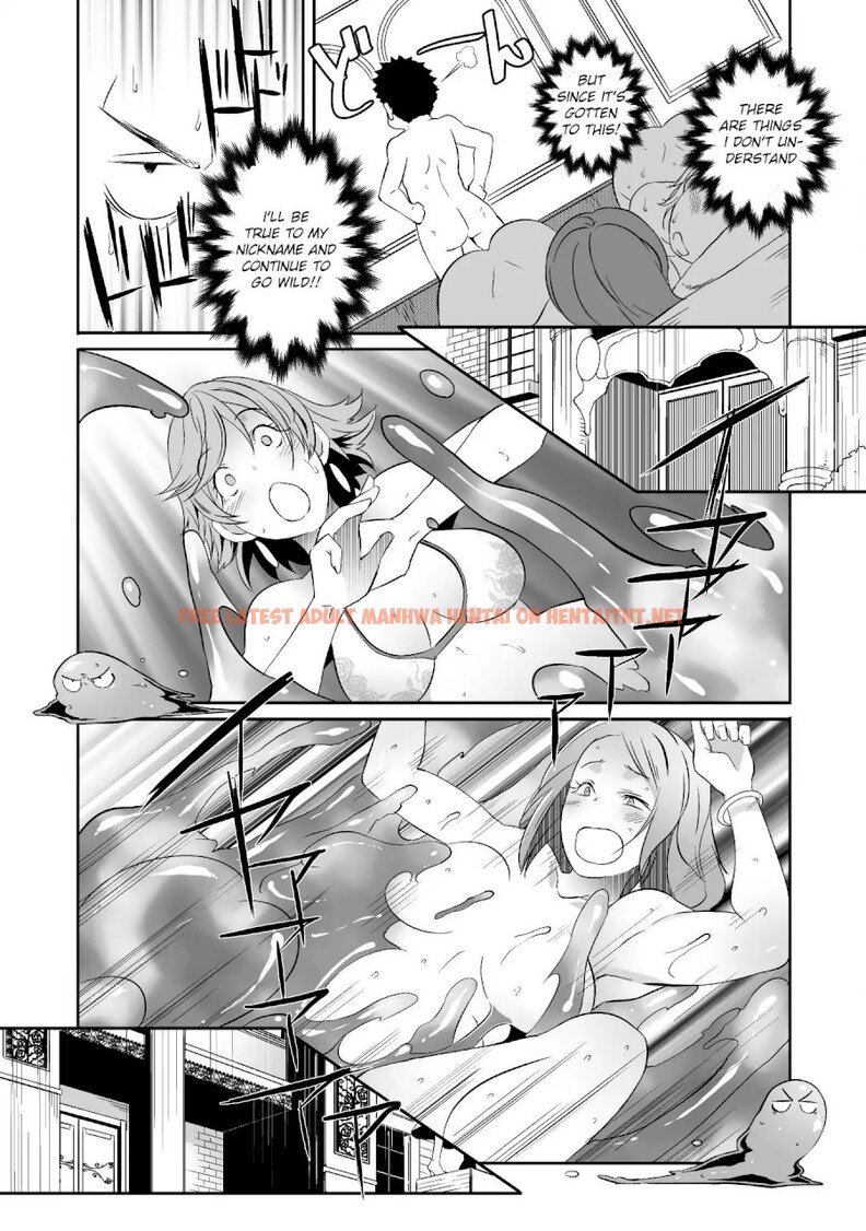 Read Hentai Image 17 676 in comic Sekkaku Cheat Wo Moratte Isekai Ni Teni Shita N dakara, Suki Na You Ni Ikitemitai - Chapter 11 - hentaitnt.net