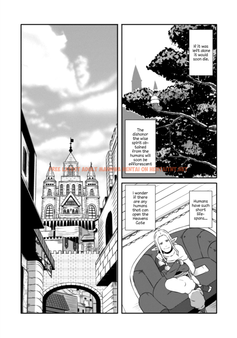 Read Hentai Image 9 676 in comic Sekkaku Cheat Wo Moratte Isekai Ni Teni Shita N dakara, Suki Na You Ni Ikitemitai - Chapter 12.5 - hentaitnt.net