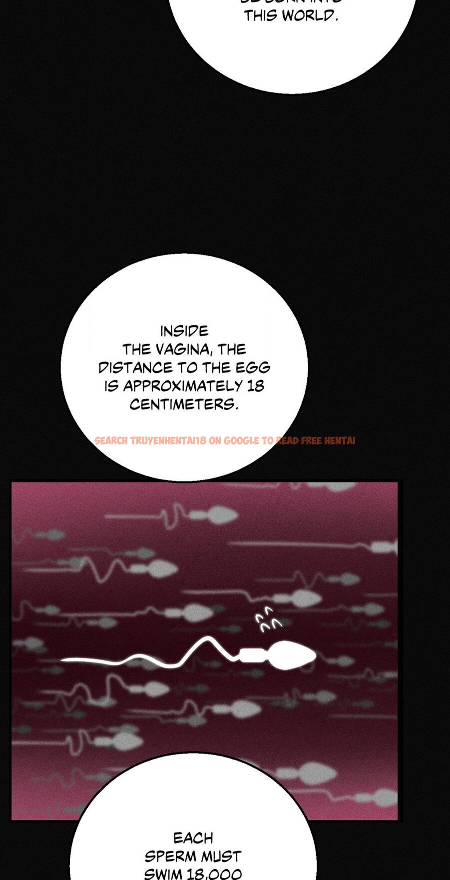Read Hentai Image 26 95c36 in comic Seniors Of Class 5 - Chapter 76 - hentaitnt.net