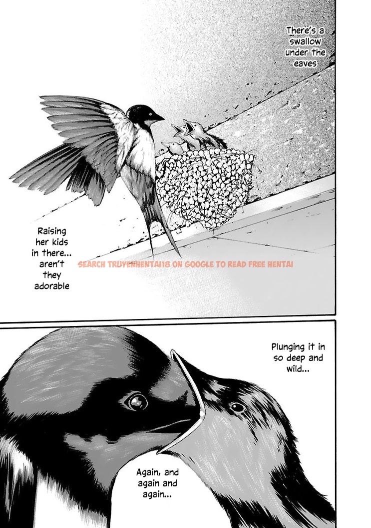 Read Hentai Image 13 d6cce in comic Sense - Chapter 75 - hentaitnt.net
