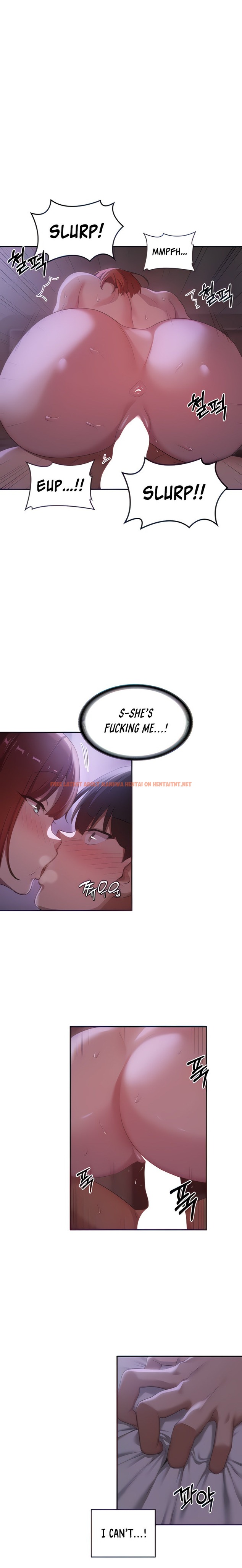 Read Hentai Image 4 81278 in comic Sextudy Group - Chapter 104 - hentaitnt.net