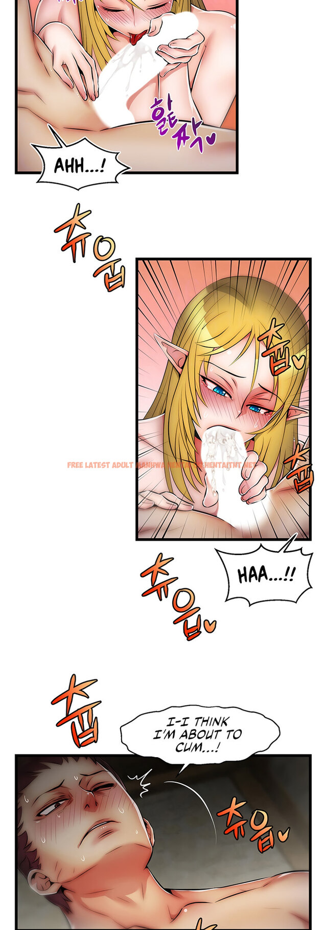 Read Hentai Image 5 25526 in comic Sexy Virtual Elf - Chapter 11 - hentaitnt.net