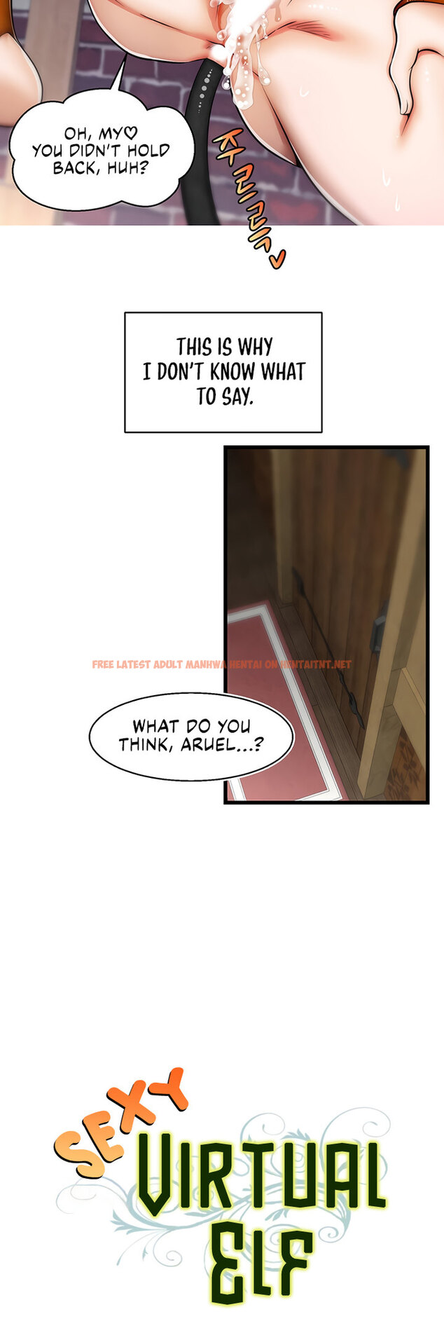 Read Hentai Image 13 26306 in comic Sexy Virtual Elf - Chapter 9 - hentaitnt.net