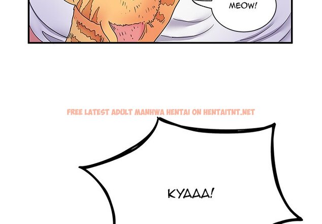 Read Hentai Image 3 362 in comic Single Again - Chapter 14 - hentaitnt.net