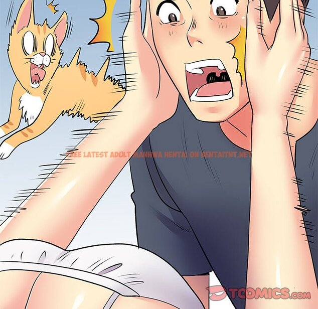 Read Hentai Image 86 369 in comic Single Again - Chapter 14 - hentaitnt.net